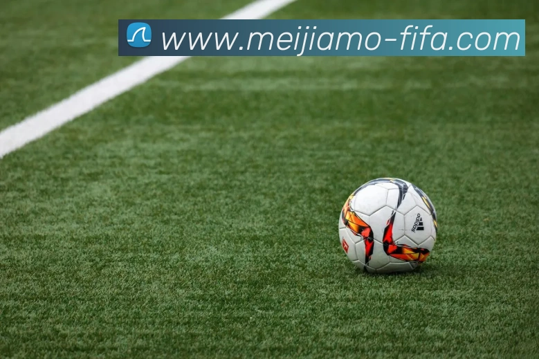 世界杯投注平台生态图